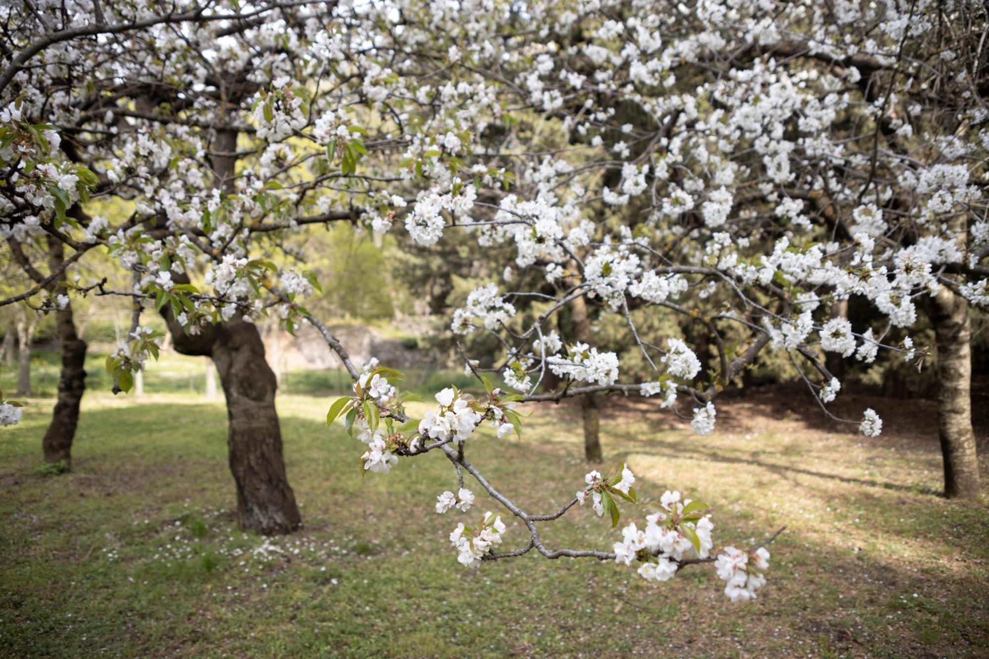 Parco Statella Villa Montelaguardia Dış mekan fotoğraf