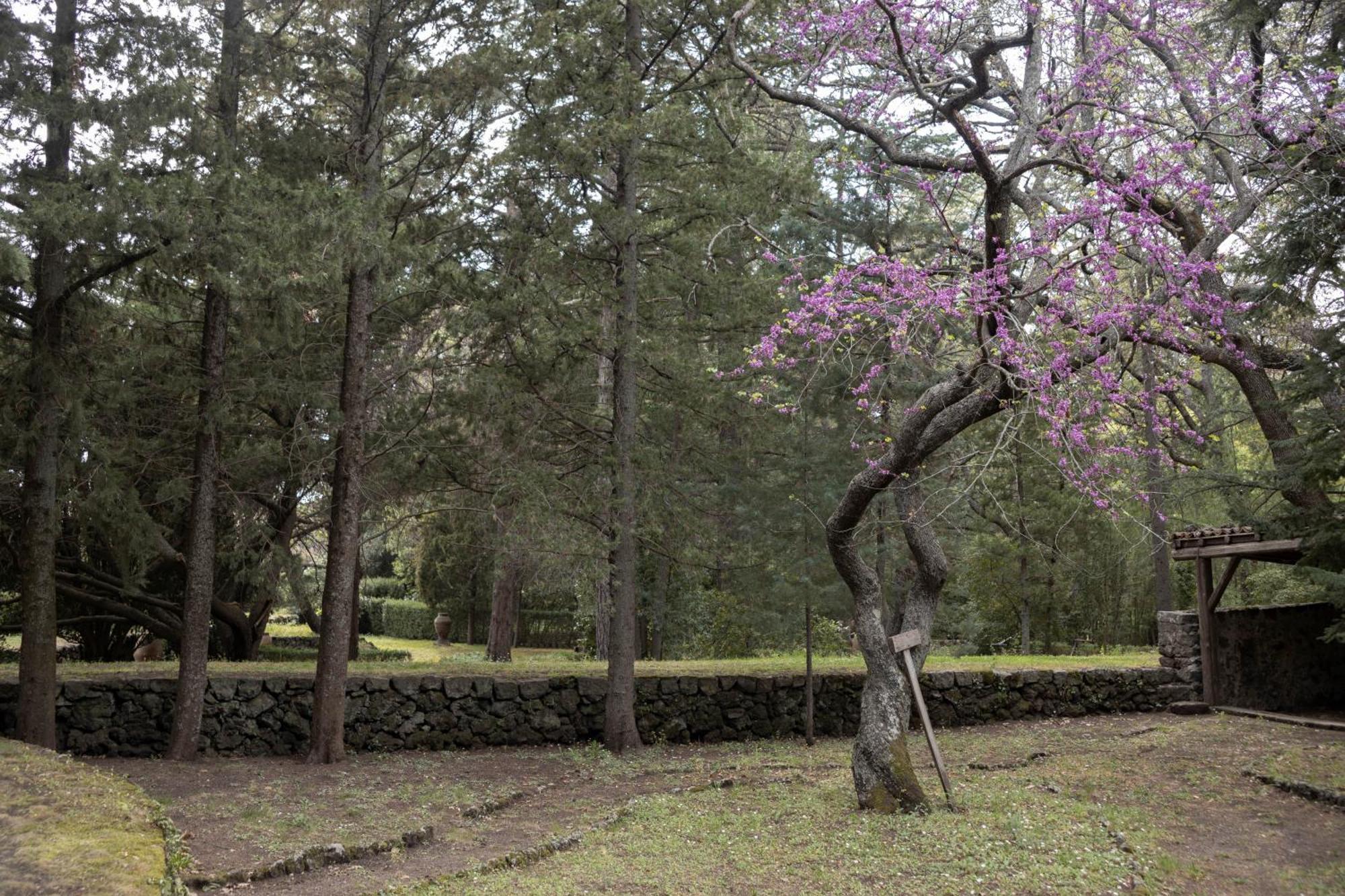 Parco Statella Villa Montelaguardia Dış mekan fotoğraf