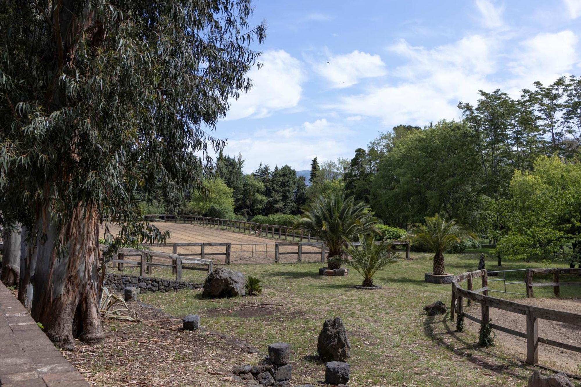Parco Statella Villa Montelaguardia Dış mekan fotoğraf