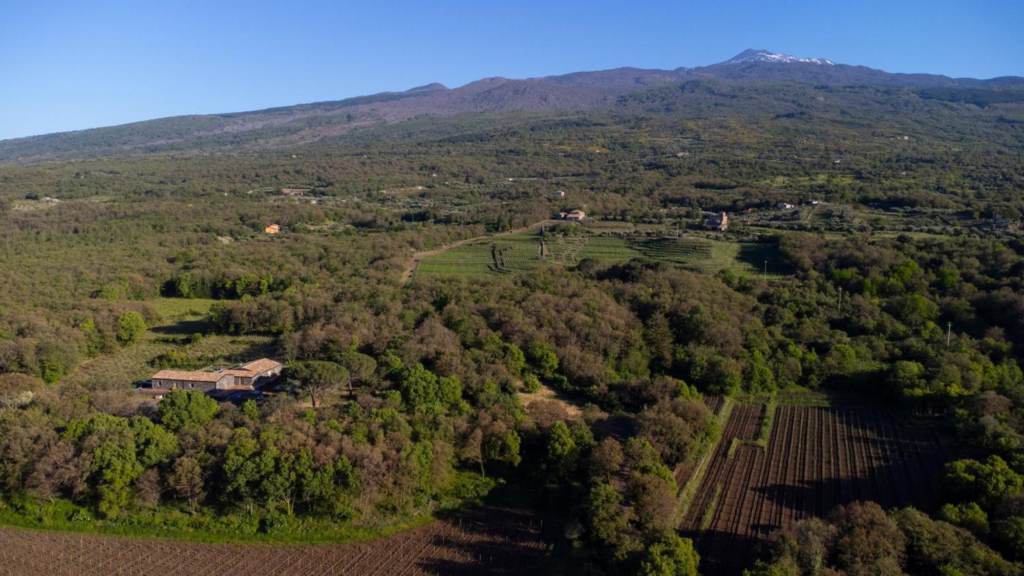 Parco Statella Villa Montelaguardia Dış mekan fotoğraf
