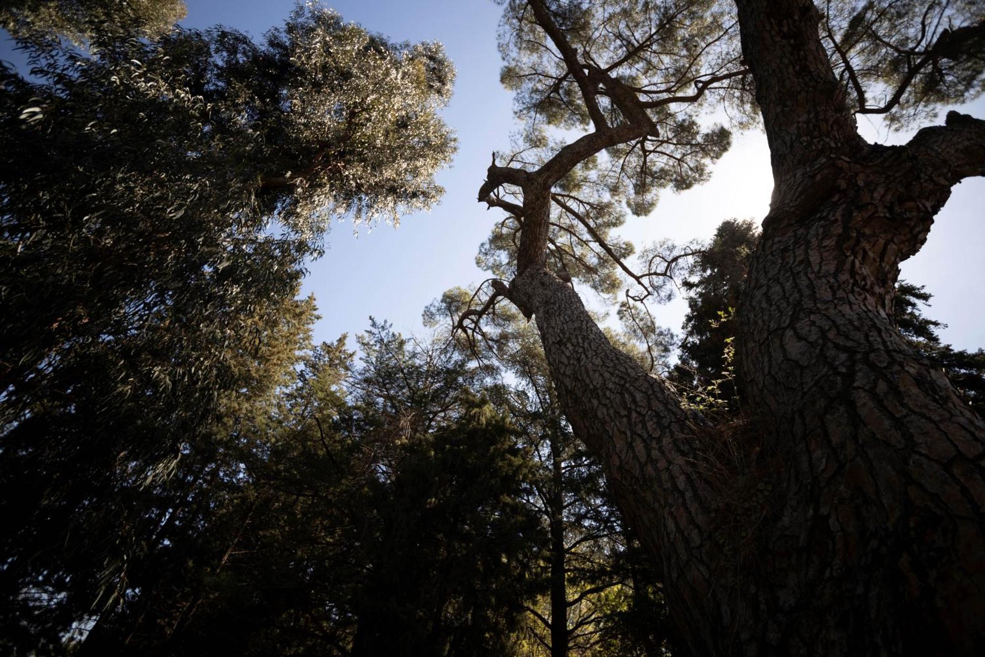 Parco Statella Villa Montelaguardia Dış mekan fotoğraf