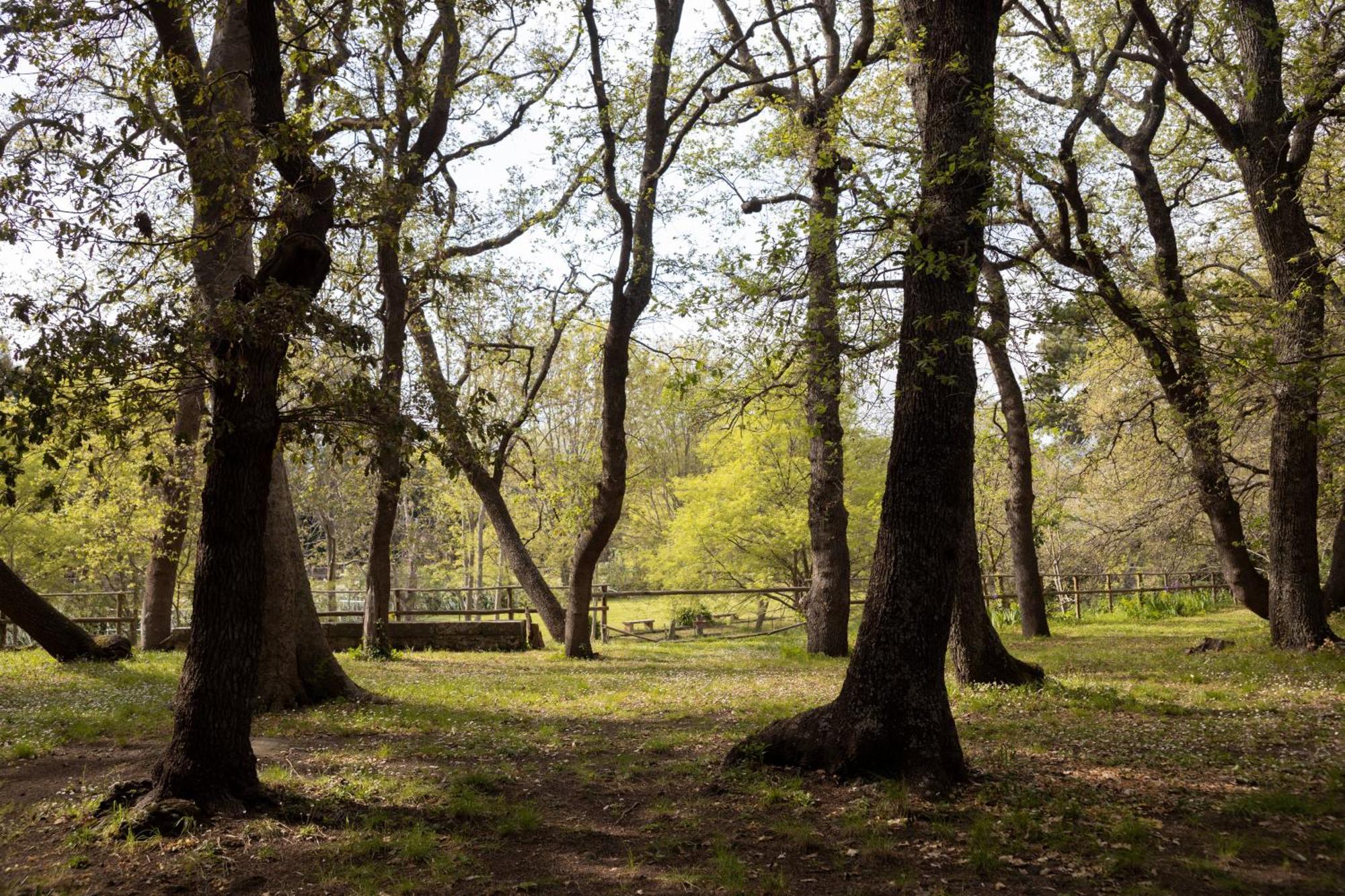 Parco Statella Villa Montelaguardia Dış mekan fotoğraf